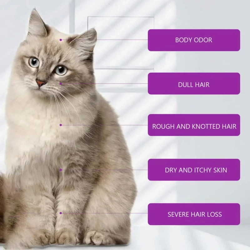 Lavender Pet Shampoo & Conditioner - Tear-Free, pH Balanced for Dogs & Cats, 100ml - product detail view