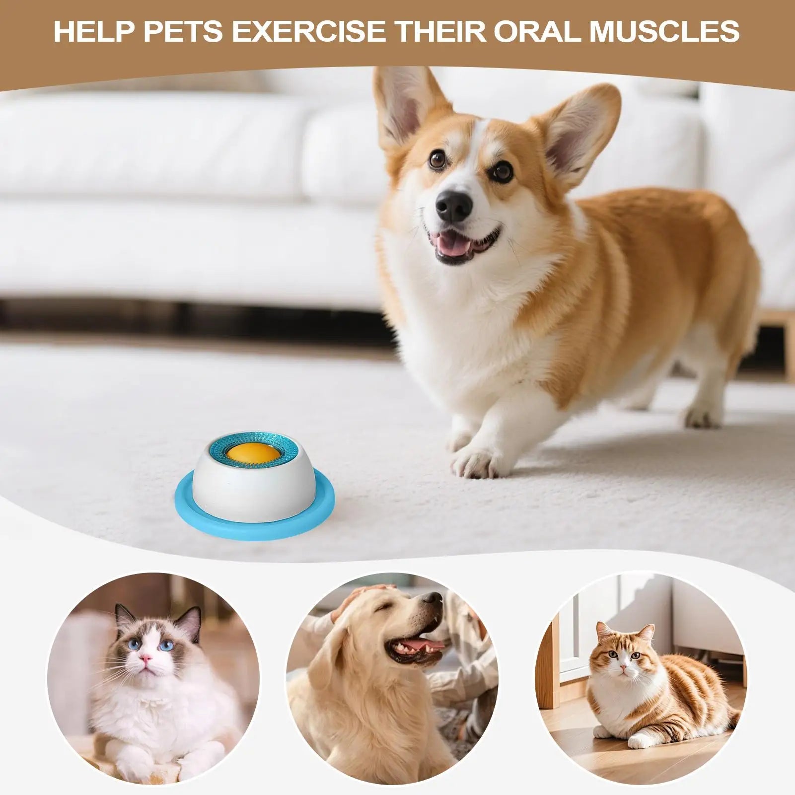 Slow Feeder Lick Mat for Dogs & Cats - Anti-Slip Puzzle Bowl - product detail view