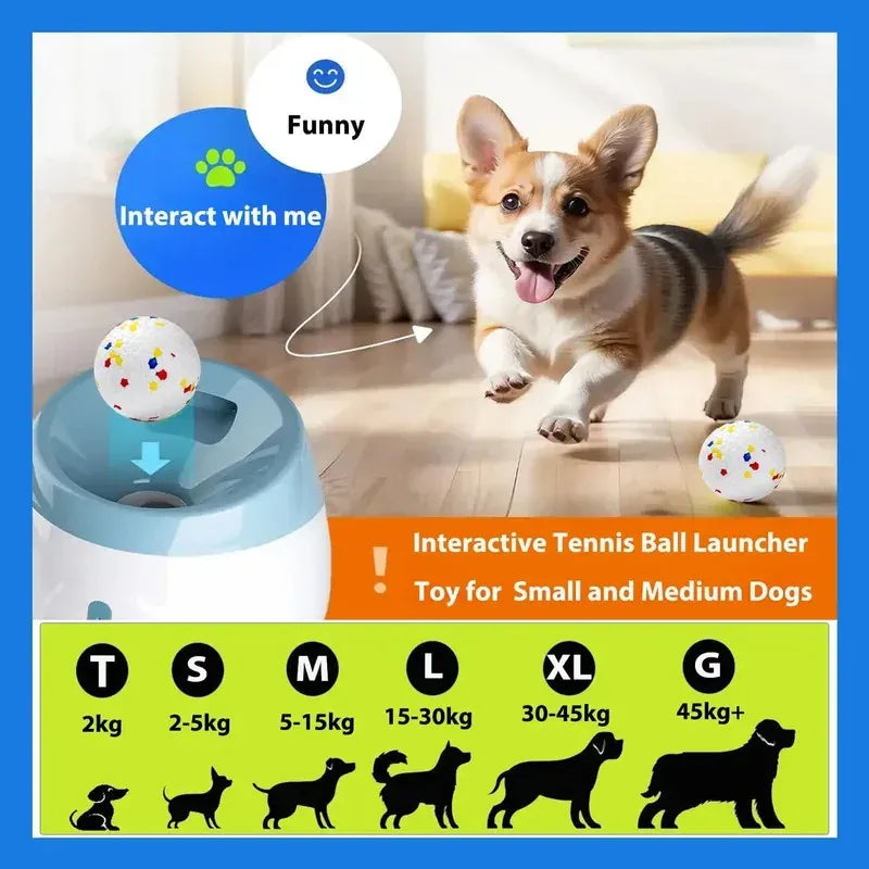 Automatic Dog Ball Launcher - Rechargeable Self-Playing Fetch Toy(Free Shipping) - main product view