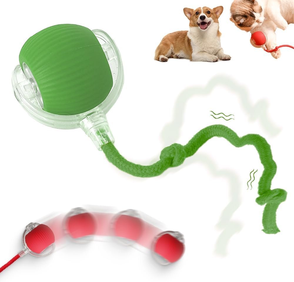 Interactive Electric Cat Toy - main product view